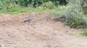 Рыбалка на спиннинг. Рыбалка на блесны. Блесна.