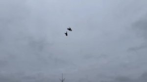 Питомник "Западный"  Битобородые