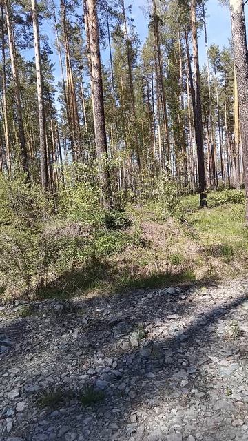 Участок 12.72 сот в КП Кургановский