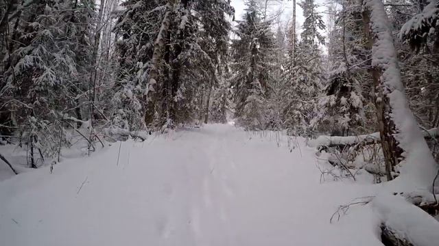Как поймать куницу, Ловля куницы, проходной капкан на куницу, зимняя охота смотреть онлайн