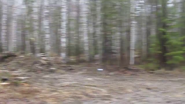 MVI 2049 смотреть онлайн