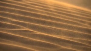 Anapa-Estate | Лучи