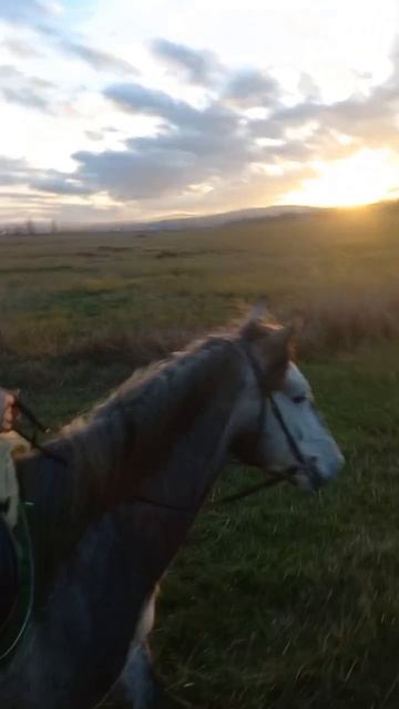 Прогулки клуба