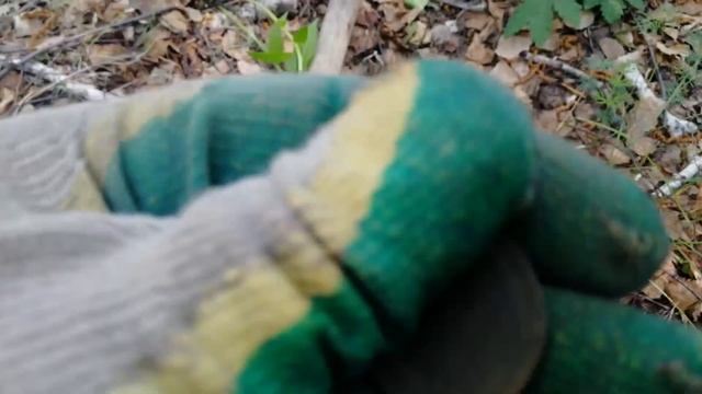 Голова Ленина и дятлы-Коп 12.06.2021. Поиск с металлоискателем #поискмонет #монеты #equinox900 #48