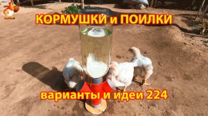 Кормушки и поилки для кур своими руками 224 🪚✂️ Пошаговая инструкция как сделать 🐔 🐓❣️
