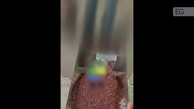 Машина для обжарки какао бобов MHK-2 смотреть онлайн