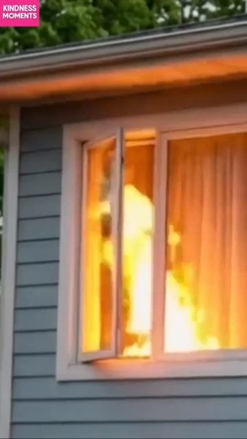 видео о том что иногда животные человечнее человека.mp4