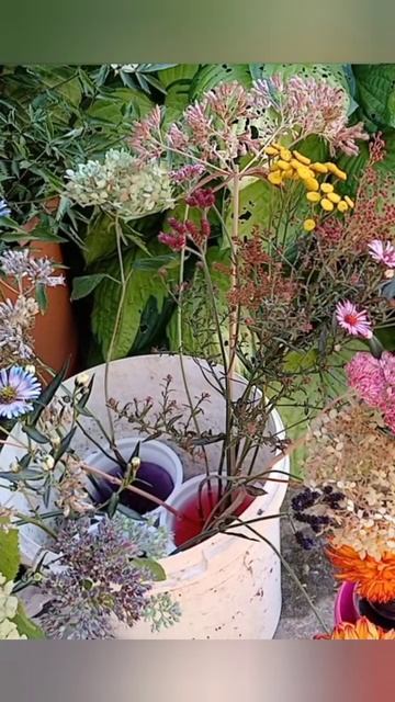 Букет из садовых цветов ☺