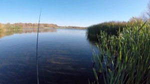 Рыбалка на хищника в Ростовской области