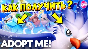 КАК ПОЛУЧИТЬ НОВОГОДНИХ ПИТОМЦЕВ В АДОПТ МИ!😱🧊КАК ПОЛУЧИТЬ ЛЕДЯНОГО ФЕНИКСА В АДОПТ МИ!🎅🏻🎄