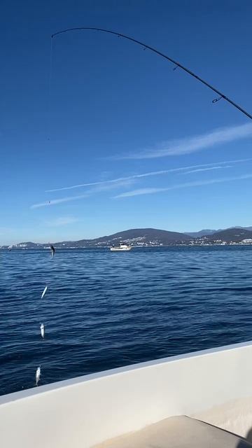 Оранжевая кикимора работает. смотреть онлайн