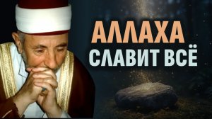 ПРИСОЕДИНЯЙСЯ к остальным творениям в этом виде поминания Аллаха | Шейх Рамадан аль-Буты