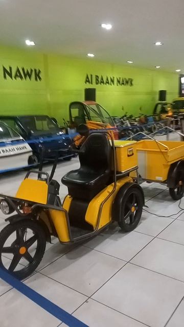 Таиланд удивил: ретро-машины в ботаническом саду Ретро-автомобили среди пальм: неожиданная коллекция смотреть онлайн