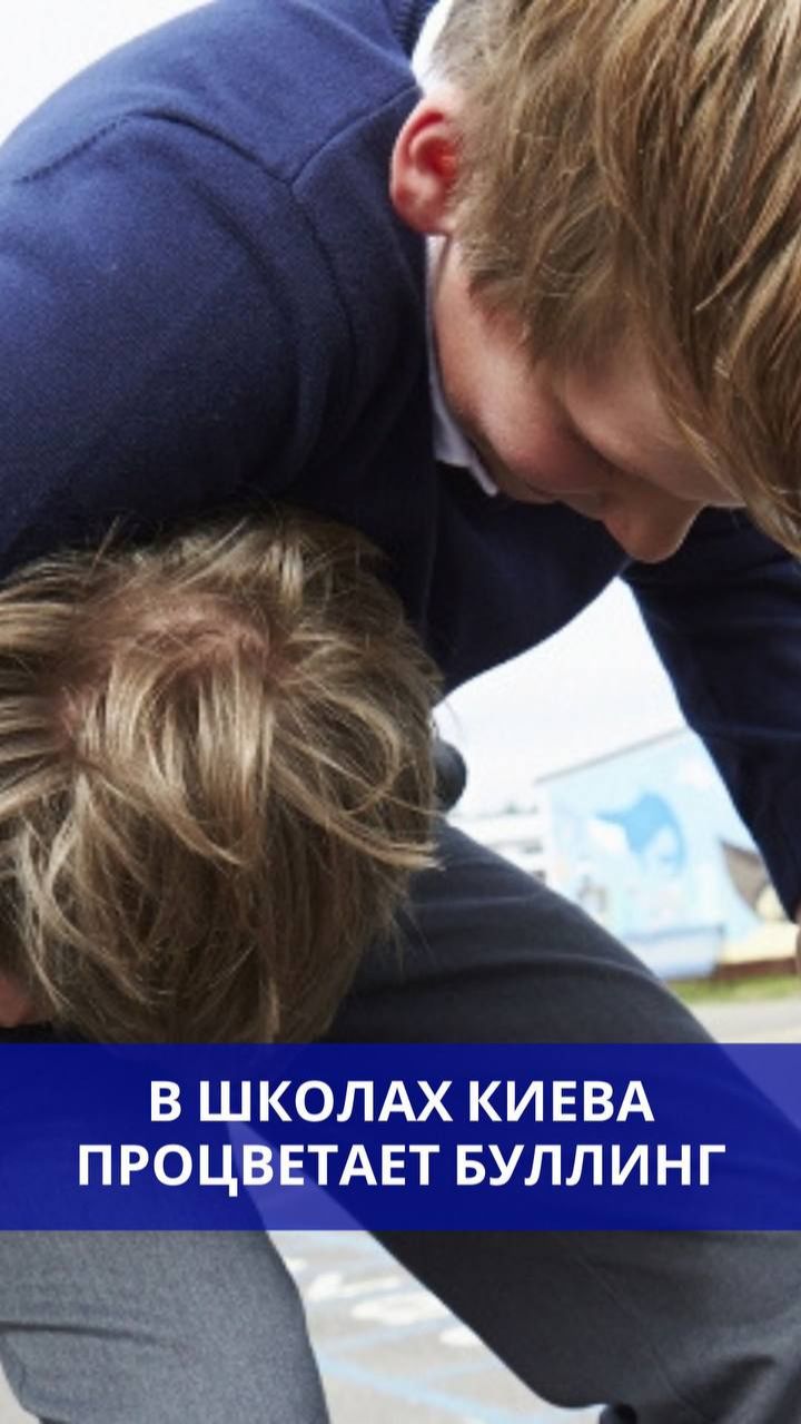 Культ буллинга и насилия процветает в школах на Украине смотреть онлайн