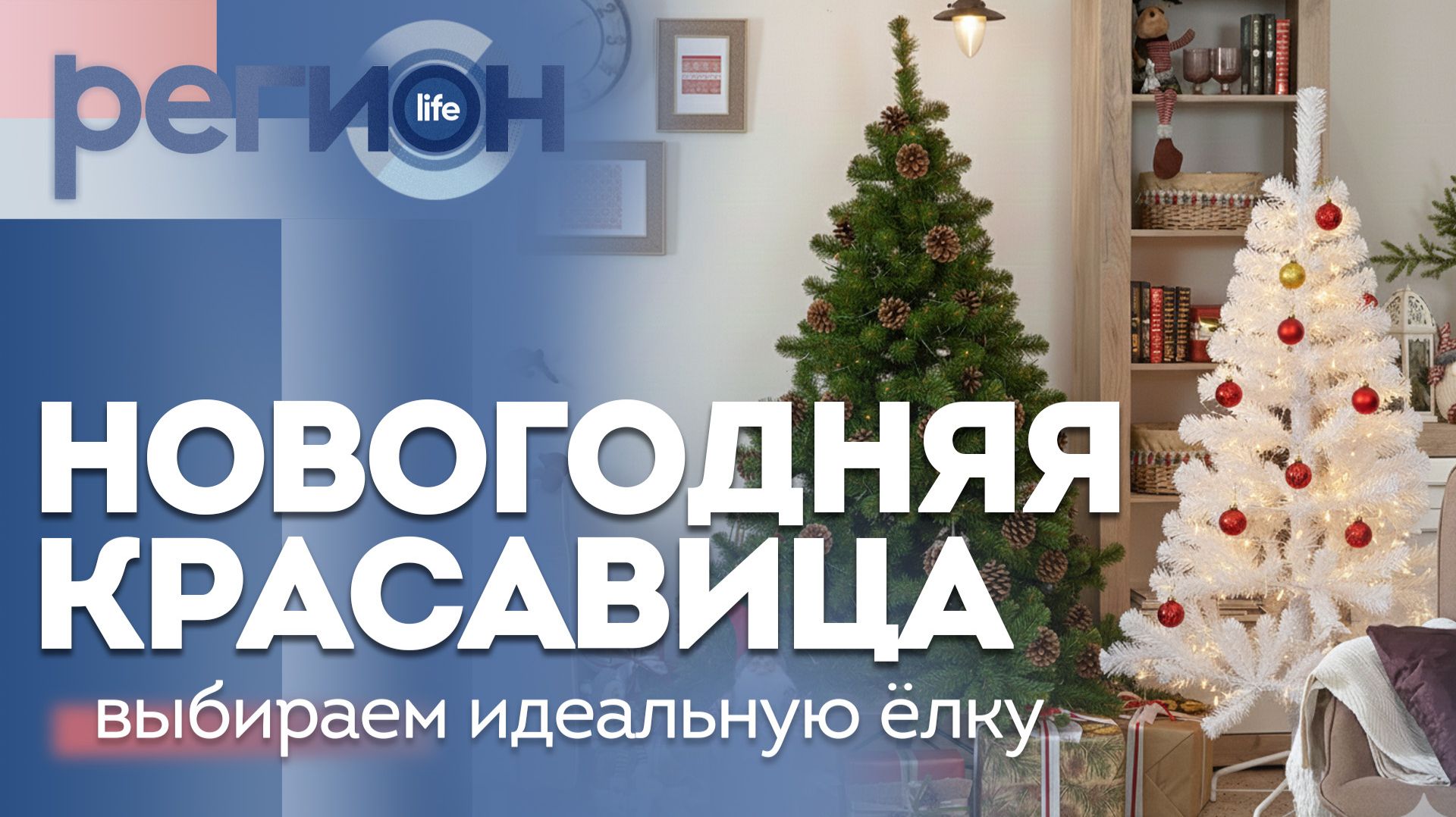 Регион LIFE | Выбираем идеальную ёлку | ОТС LIVE — прямая трансляция смотреть онлайн