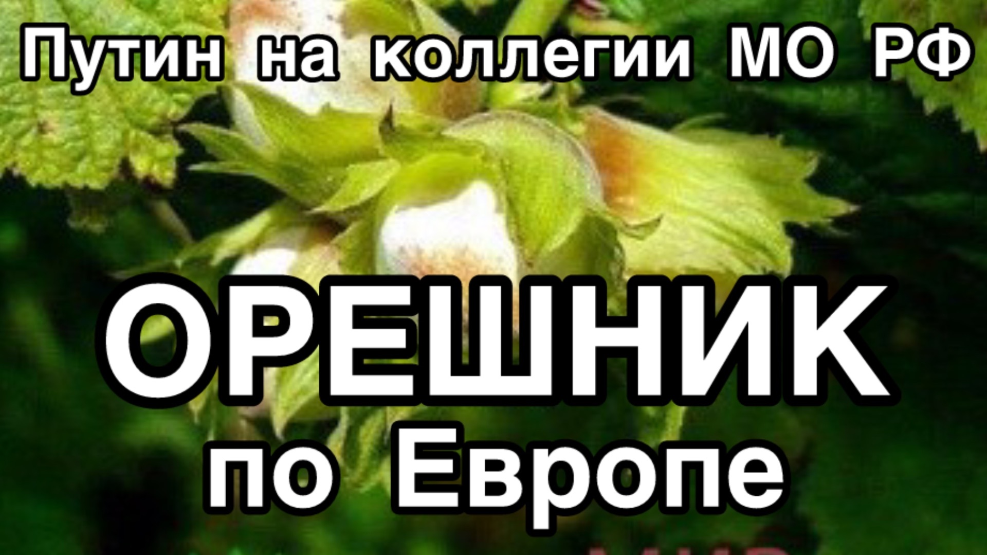 ОРЕШНИК СТАЛ НА БОЕВОЕ ДЕЖУРСТВО. Путин выступает на заседании коллегии Министерства обороны РФ смотреть онлайн