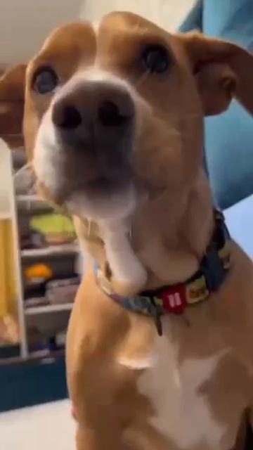 Ну, мама смотреть онлайн