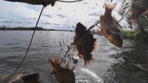 150 КГ КАРАСЯ с ЛЕГЕНДАРНОГО ОЗЕРА! Дорога сквозь бурелом и следы медведя. Рыбалка в диких местах .