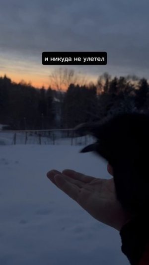 Как летает Гоша