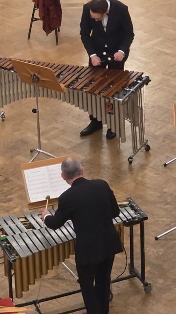 Концерт ансамбля MarimbaMix. Часть 10.