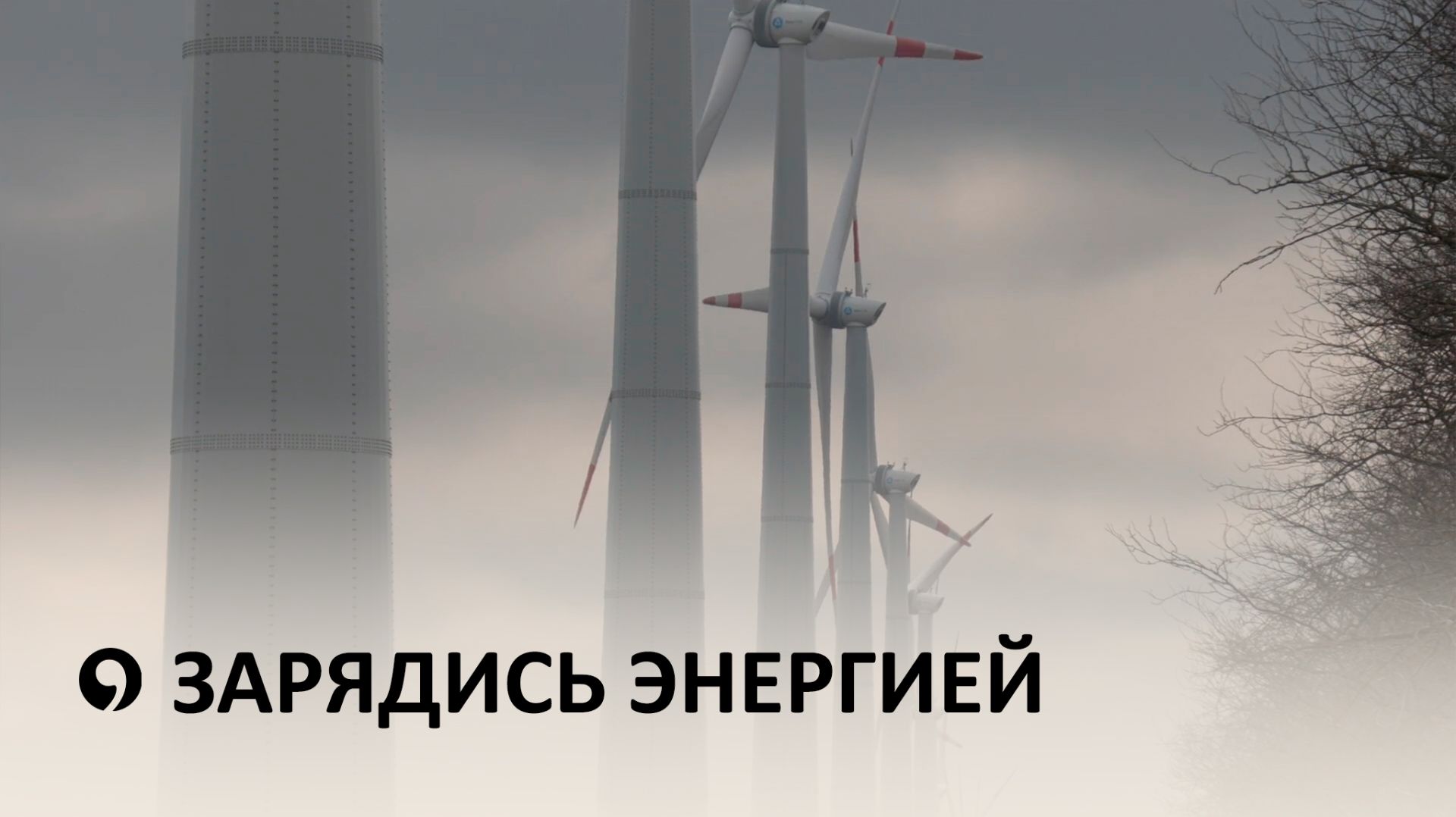 На Ставрополье наградили лучших энергетиков региона в преддверии профессионального праздника смотреть онлайн