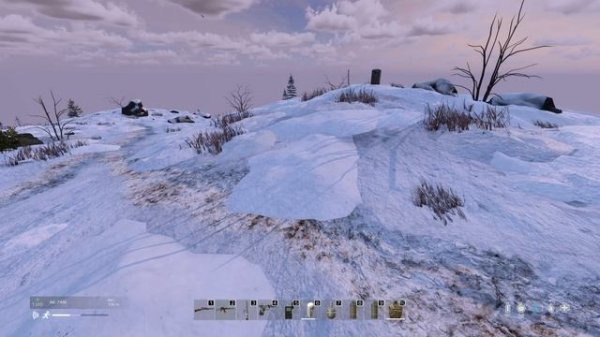 DayZ. Возвращение до Кибы и тайника с Бункера. Dusk Winter Classic 1PP