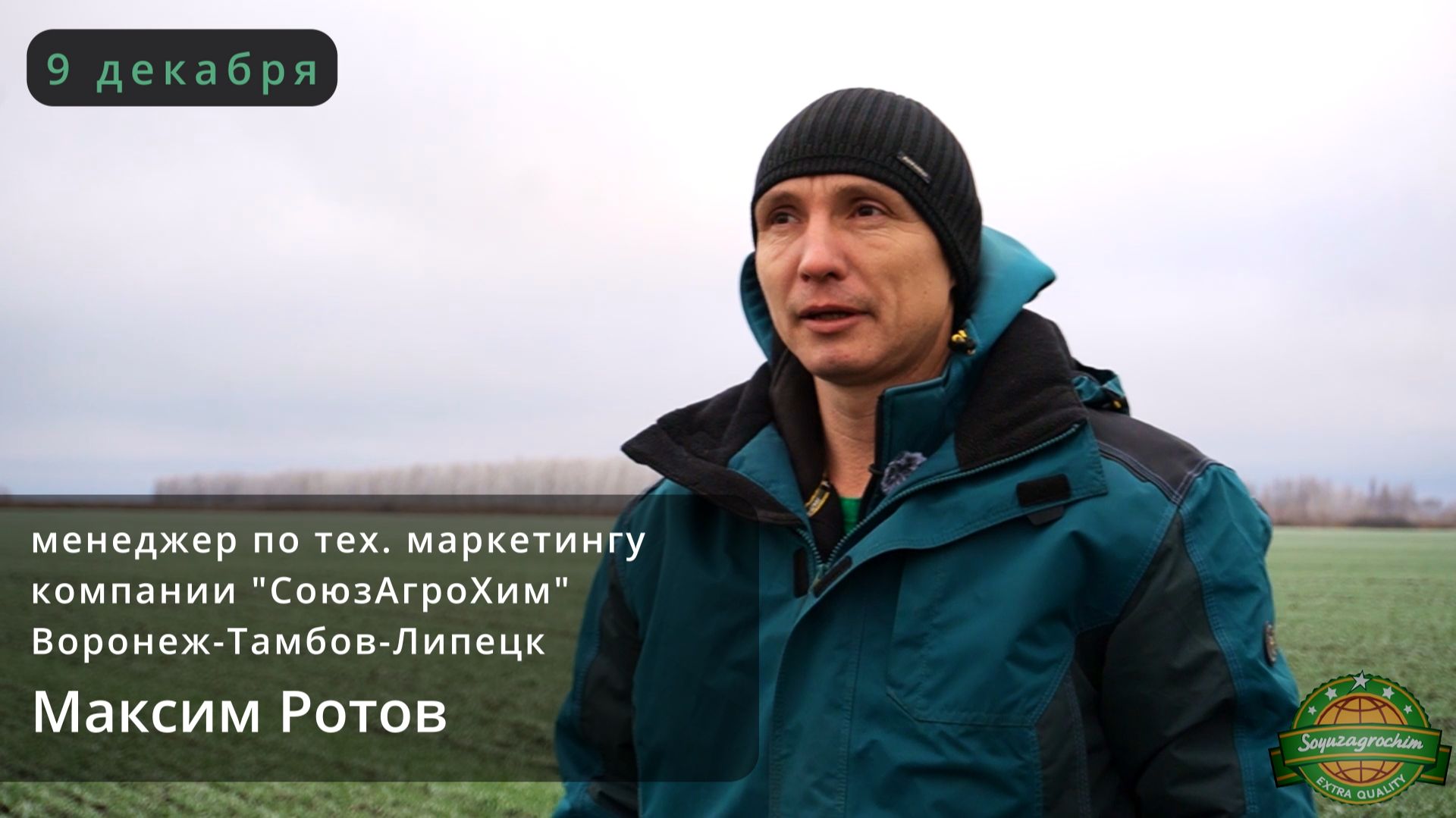 Озимая пшеница: проверяем кущение и корневую перед зимовкой