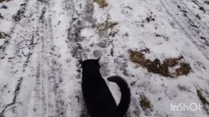 18/12/2025 /как живут в русской деревне...