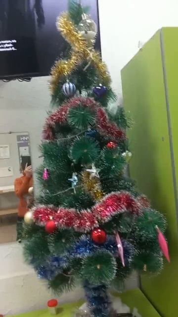 Рождество, новый год, новогодняя елка Щекино поликлиника платная