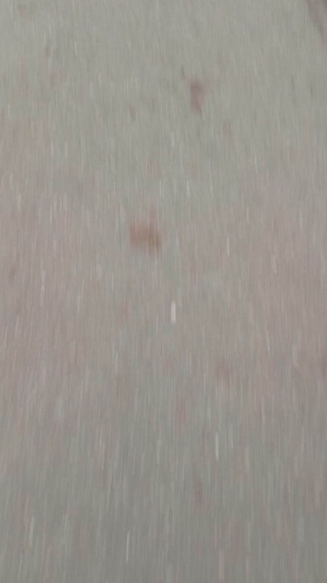 Проверяем есть ли мороженое с шариками в Бристоле вместе с channel play смотреть онлайн