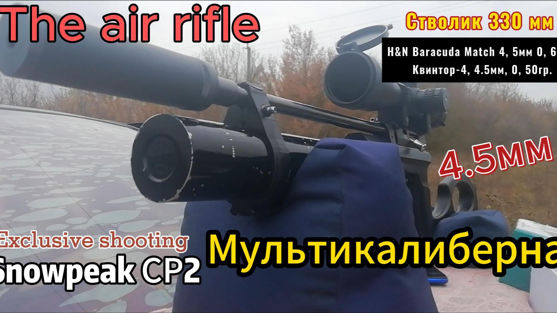 Винтовка пневматическая МультиSnowpeak СР2 5,5мм смотреть онлайн