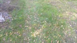 Донецк. Субботник у окопов