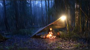 24 часа выживание в лесу зимой в дождь, снег и без палатки: как приготовить лучшие наггетсы в лесу