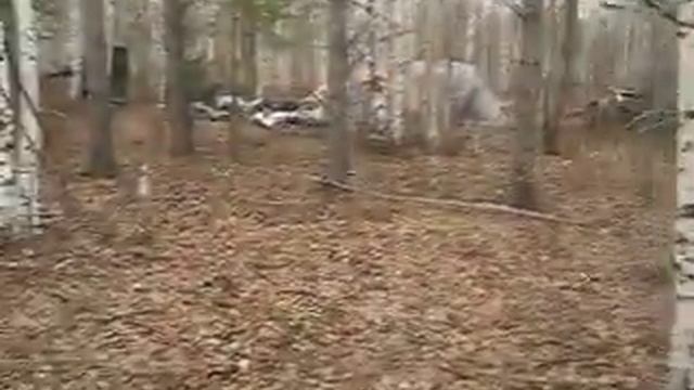 MVI 5979 смотреть онлайн