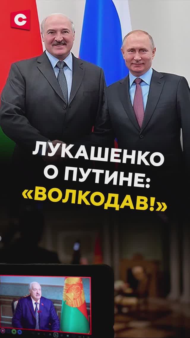 Лукашенко: Путин в политике волкодав! смотреть онлайн