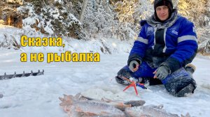 Сказка, а не рыбалка! Второй, первый лед на реке. Зимняя рыбалка 2020.