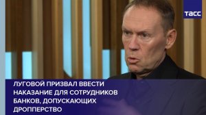 Луговой призвал ввести наказание для сотрудников банков, допускающих дропперство