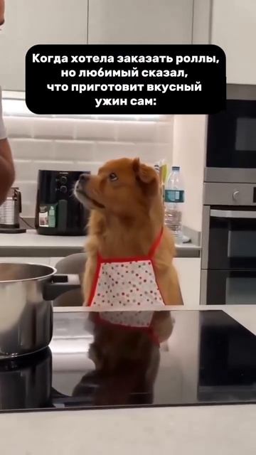 Я больше не люблю тебя смотреть онлайн