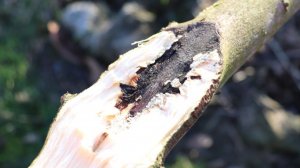 Очень хитрый срез - удаляем конкурента.