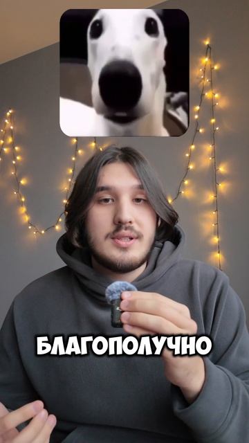 Что такое фишинг смотреть онлайн