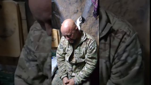 Встреча после долгой разлуки бойца СВО с мамой/ Боевые коты и котята! смотреть онлайн