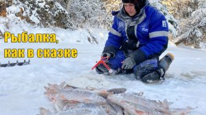 Вот такой бывает клев, когда ты на реке один. Первый лёд. Зимняя рыбалка 2020.