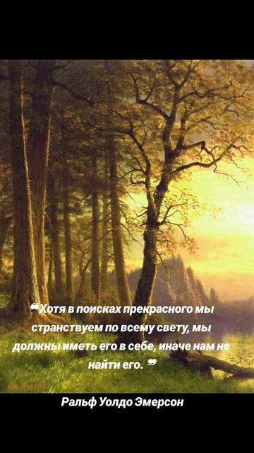 В поисках прекрасного