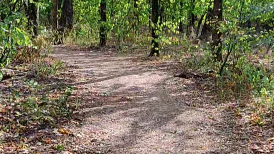 Роща в Новочеркасске смотреть онлайн