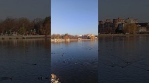 г. Горячий Ключ 27.11.2025 г.