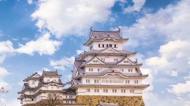 «Замок Белой Цапли»