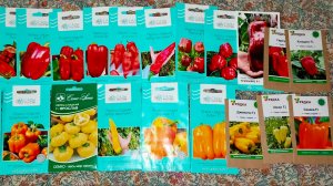 Семена сладкого перца на сезон 2026. Гибриды.