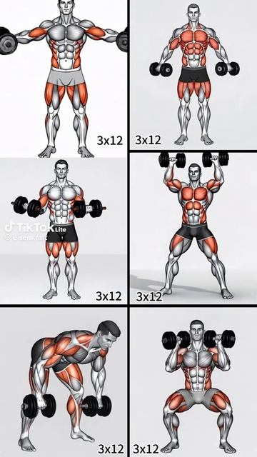 💪🏼 УПРАЖНЕНИЙ С ГАНТЕЛЯМИ 🤜 🤛