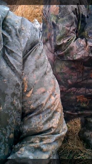 VIDEO0038 смотреть онлайн