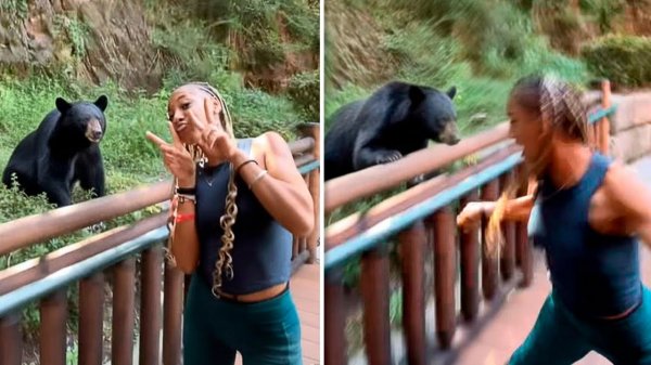 ЗА СЕКУНДУ ДО! ЭТИ СЛУЧАИ УДАЛОСЬ СНЯТЬ НА КАМЕРУ